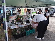 Dsc05781