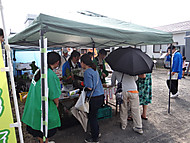 Dsc05799