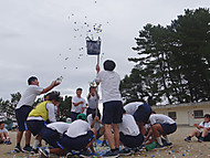 Dsc01945 Dsc01945