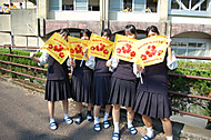 Dsc_5649 Dsc_5649